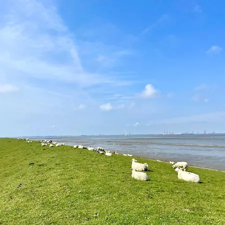Nordsee-hotel Butjadingen